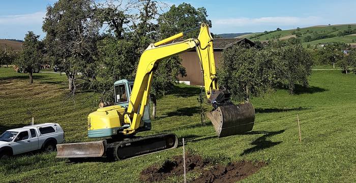 Eine Stein-Sandlinse kann auch auf freiem Feld entstehen, wie hier in Schwarzedel