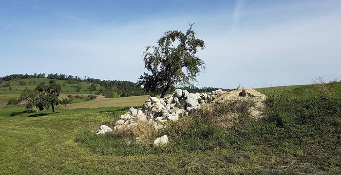 Ein Paradies für Erdnister, kombiniert mit einem Steinhaufen als Kleinstruktur für viele andere Tiere