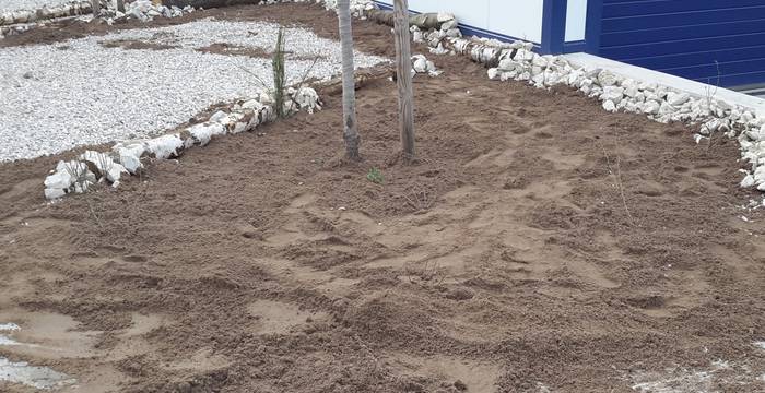 D’un jardin minéral à un milieu sec – du sable est répandu sur la couche de pierre concassée. Avant de planter quelques plantes vivaces pionnières et de semer des graines, on répand 2 cm de compost dépourvu de mauvaises herbes. © Andrea Haslinger
