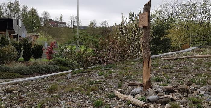 Verschiedene Baumstrünke und ein Totholzstamm sind wichtige Unterschlüpfe für Insekten und andere Tier. Die groben Steine bieten zusätzliche Rückzugsorte.