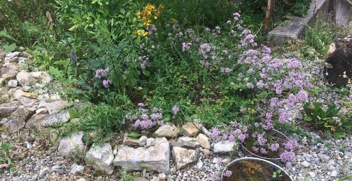 Kleinstrukturen im Garten cr Pro Natura Aargau