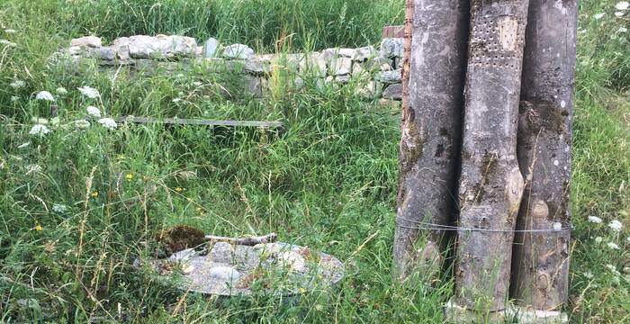 Elemente für Wildbienen cr Pro Natura Aargau