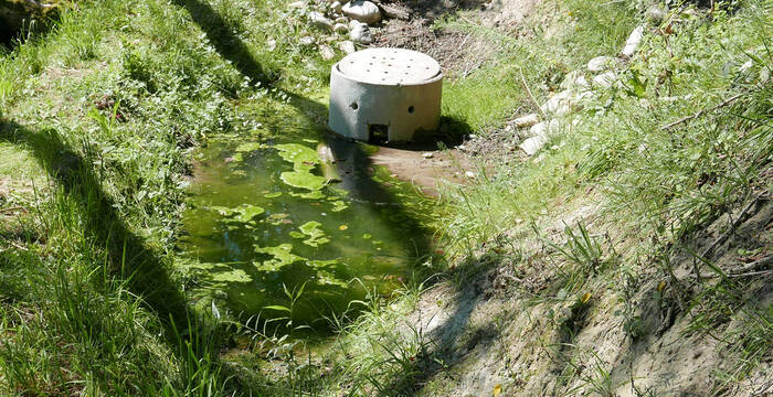 Ein neu erstellter Tümpel sammelt das Quellwasser der beiden Quellen. Der Überlauf des Tümpels befindet sich im Schacht.