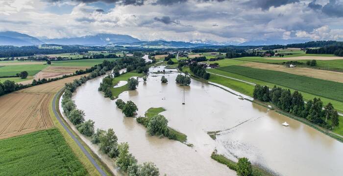 Wenn sich das Wasser zurückzieht liegen grosse Schlickflächen frei, welche für unzählige Insekten und Vogelarten willkommen Fortpflanzungs- und Jagdgebiete bilden. Fische, welche in Flutmulden zurückbleiben, stehen auf dem Speiseplan von Reihern, Eisvögeln und anderen Jägern.