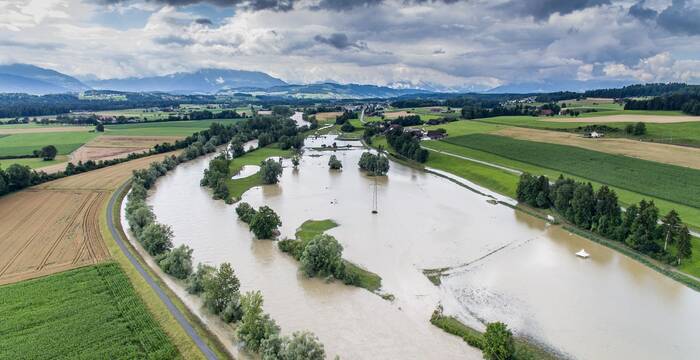 Wenn sich das Wasser zurückzieht liegen grosse Schlickflächen frei, welche für unzählige Insekten und Vogelarten willkommen Fortpflanzungs- und Jagdgebiete bilden. Fische, welche in Flutmulden zurückbleiben, stehen auf dem Speiseplan von Reihern, Eisvögeln und anderen Jägern. cr Philipp Schuppli