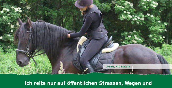 Aurea Charlet
