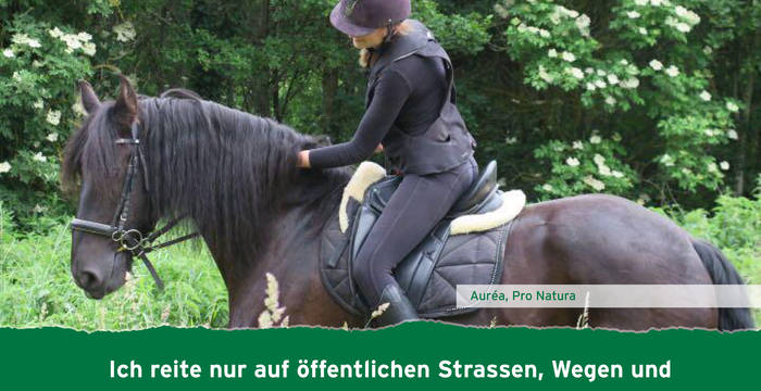 Ich reite nur auf öffentlichen Strassen, Wegen und signalisierten Reitwegen.