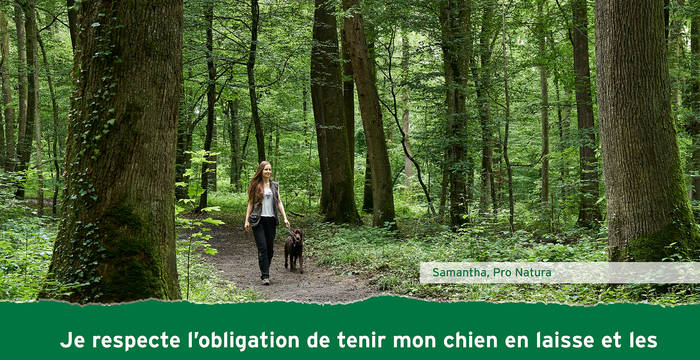 Je respecte l’obligation de tenir mon chien en laisse et les autres règles de conduit.