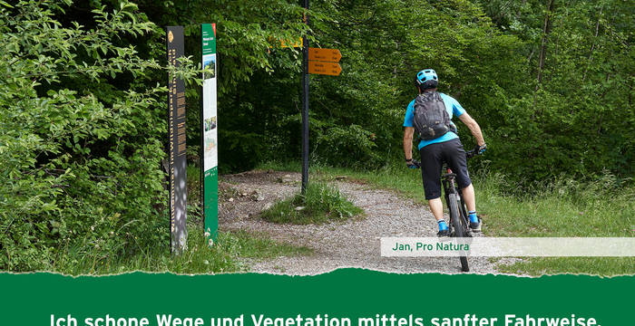  Jan Gürke