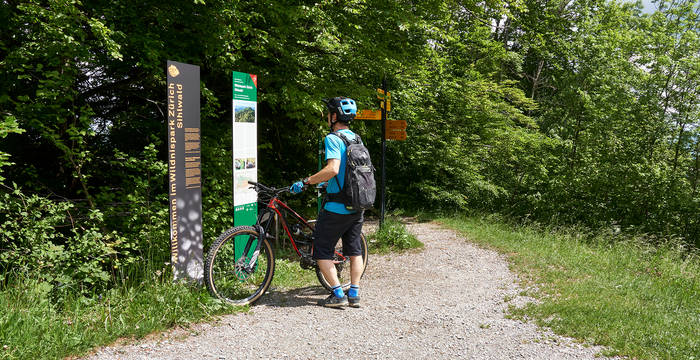 Radfahren © Jan Gürke