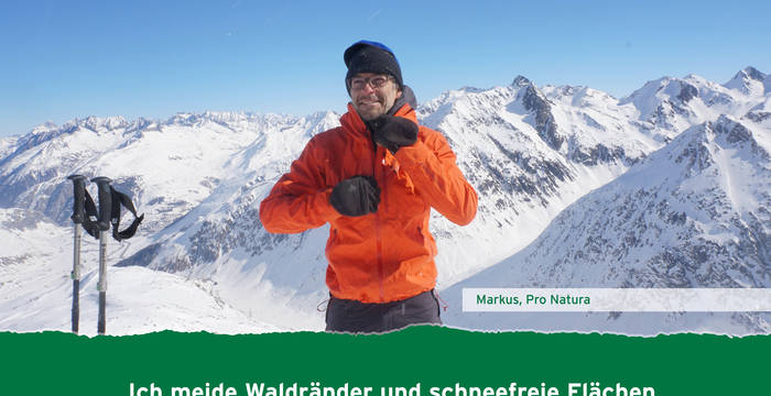 Ich meide Waldränder und schneefreie Flächen.