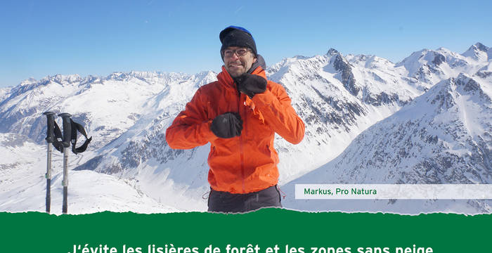 J’évite les lisière de forêt et les zones sans neige.