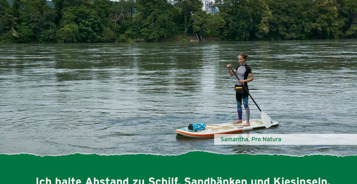 Ich halte Abstand zu Schilf, Sandbänken und Kiesinseln.