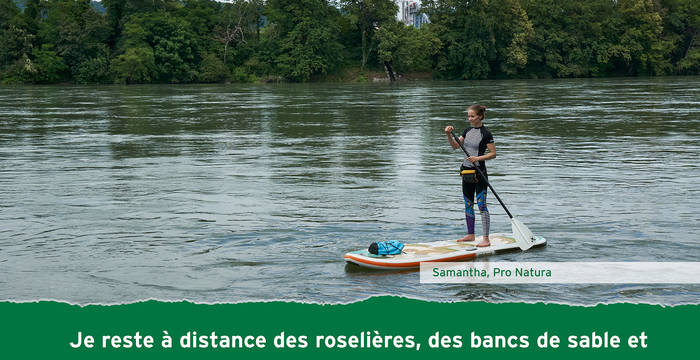 Je reste à distance des roselière, des bancs de sable t des îlots de galets.