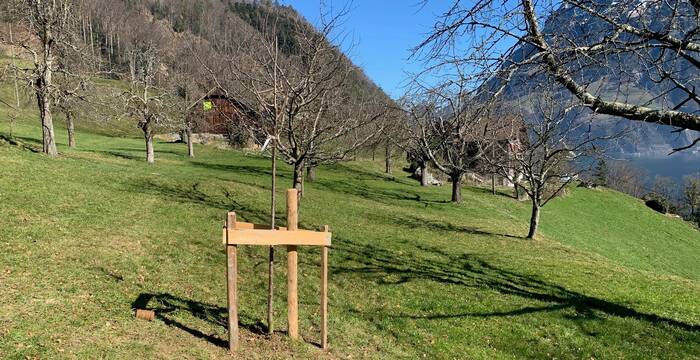 Schwäntlen cr Beat Zgraggen