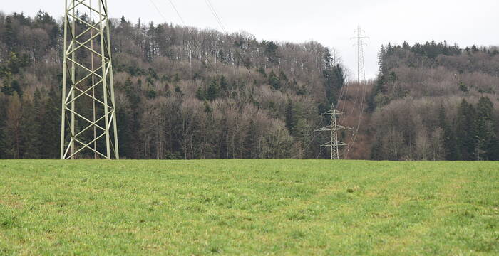 Ausgangssituation: Ein abrupter Wechsel von geschlossenem Wald zu einer Niederhaltezone macht die Leitungsschneisen in der Landschaft gut sichtbar