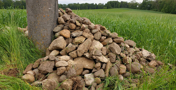 Les pieds des pylônes électriques offrent de belles possibilités pour installer des tas de pierres ou de branches comme refuge pour la petite faune – et ceci, sans que ces structures ne compliquent l’exploitation mécanique des terres agricoles adjacentes.