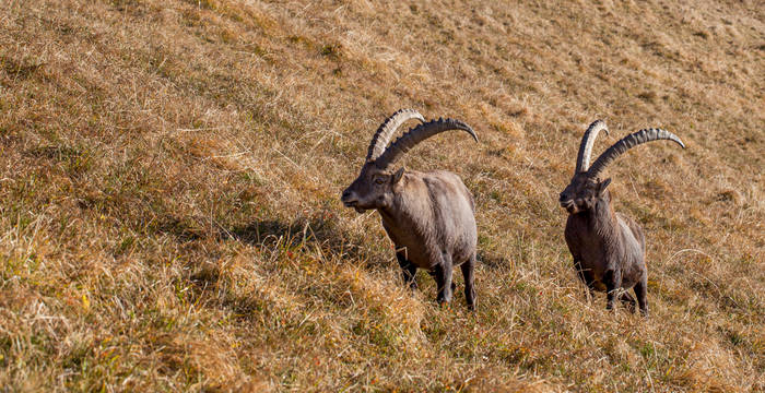 Les collaborateurs de Pro Natura pendant leur excursion annuelle © Daniel Wirz