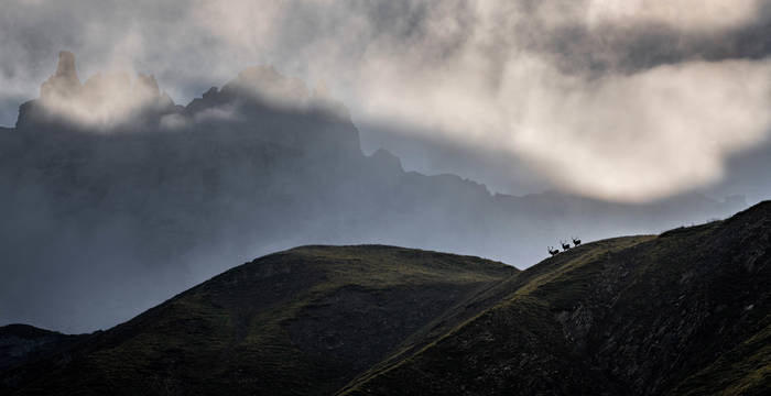 1er prix «montagnes sauvages»: Samuel Nugues, 1168 Villars-sous-Yens. Parc national suisse (GR)