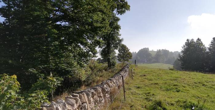 Semaine de vacaces en faveur de la nature, Probstenberg, Parc naturel Thal 