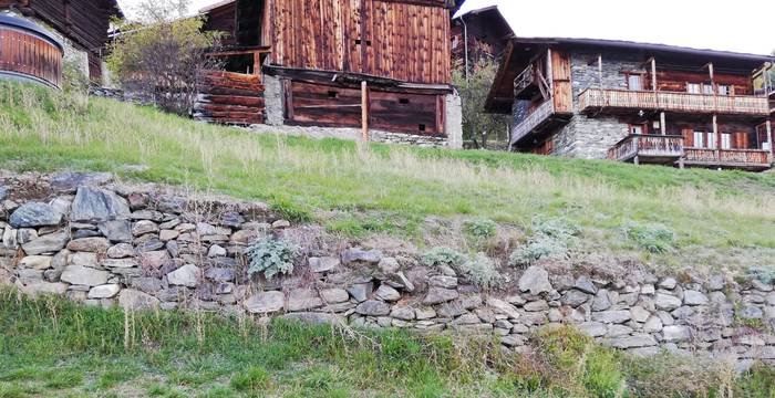 Vacances en faveur de la nature, Vernamiège (c) Stiftung Umwelteinsatz