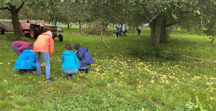 Arbeitseinsatz im Seetal - Foto: Roger Hodel