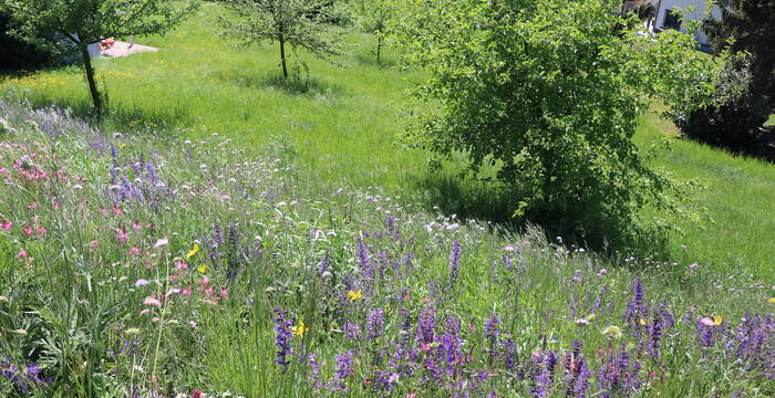 Aufwertung Kommende Hitzkirch- Foto: Roger Hodel