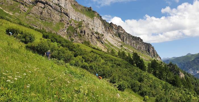 Vallon de Nant (VD): entretien des pâturages, taille des nombreux aulnes, rumex et chardons sur des terrains parfois pentus. Photo: Maya Schefer / Fondation Actions Environnement (FAE)