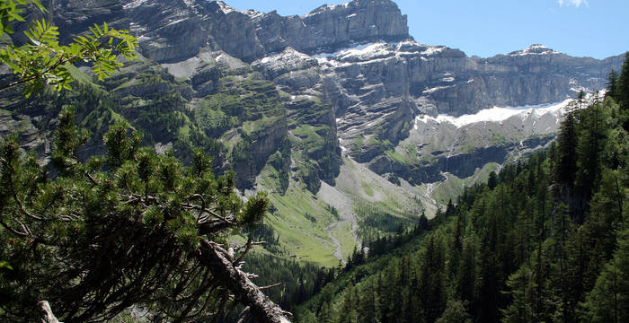 Vallon de Nant VD:  Weidepflege, Schneiden der vielen Erlen, Rumex und Disteln in teilweise steil Gelände. Foto: Antoine Burri/Pro Natura 