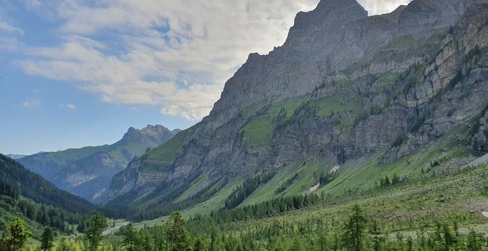 Vallon de Nant VD:  Weidepflege, Schneiden der vielen Erlen, Rumex und Disteln in teilweise steil Gelände. Foto: SUS