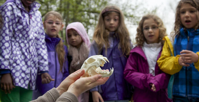 Le dossier pédagogique soutient l'enseignement par la recherche active : l'apprentissage autonome du cycle 2 et l’enseignement direct axé sur l'enseignant·e du cycle 1. Il aide à intégrer les excursions d'Animatura dans l'enseignement.