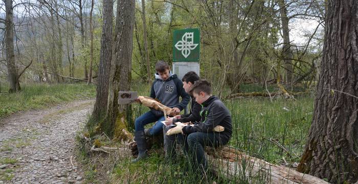 Elèves découvrant l’habitat du castor à l’aide du Carnet d’exploration.