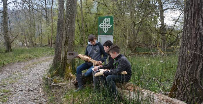 Schülerinnen und Schüler entdecken mit Hilfe des Forschungshefts den Lebensraum des Bibers. © Thomas Flory, Pro Natura