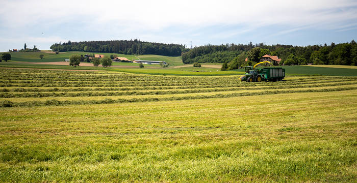 Symbolbild Landwirtschaft © Matthias Sorg