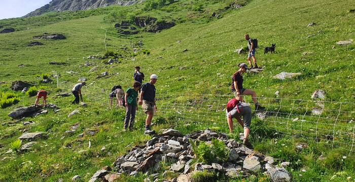 Freiwillige beim Ausbildungskurs.  © Pro Natura Graubünden