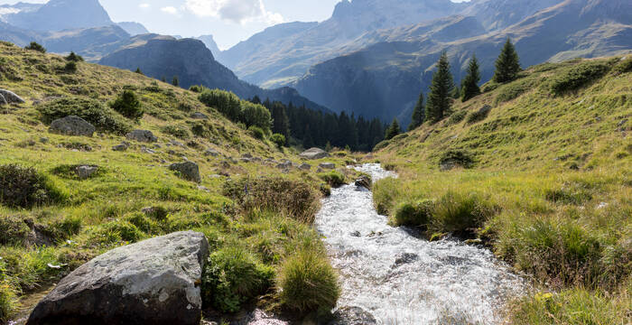 Ruisseau de montagne près de l'Alp Flix