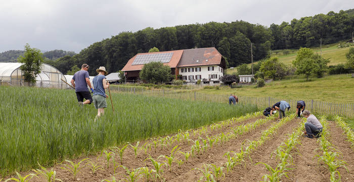 Feldarbeiter:Innen