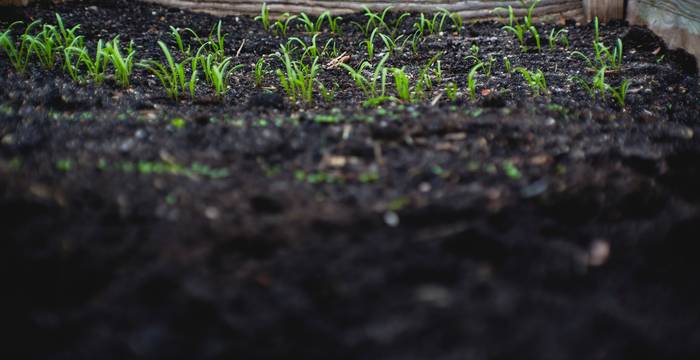 © Markus Spiske / Unsplash