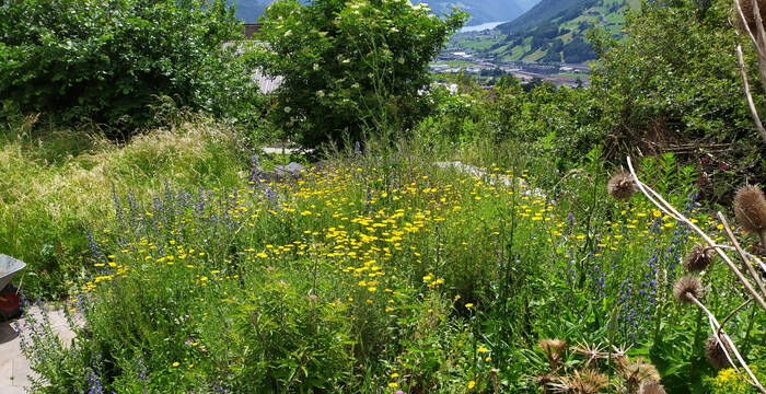 Naturgarten Schwyz © Heidi Schuler