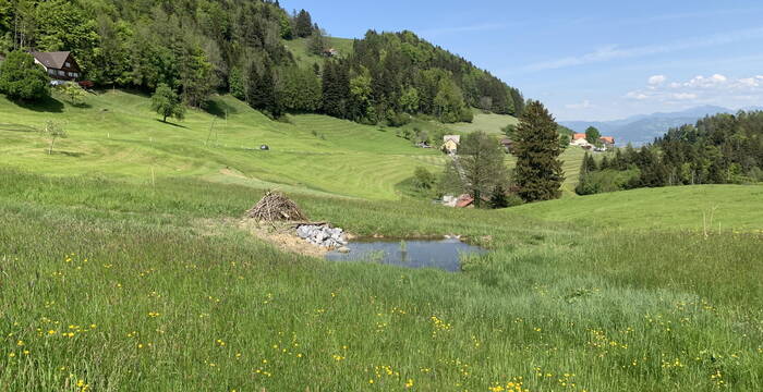 Parzelle 1030, Oberegg AI
