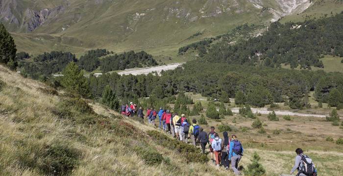 Groupe de personnes qui marchent dans les montagnes