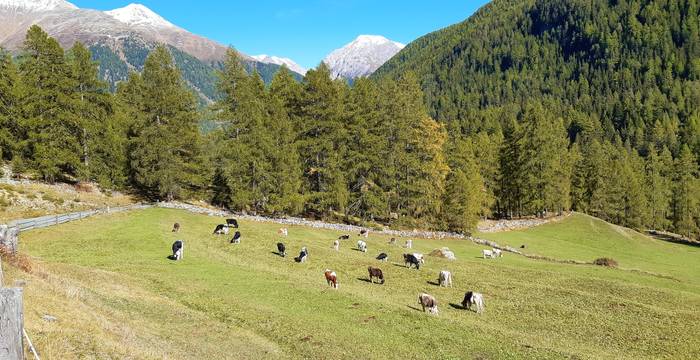 Vacances en faveur de la nature, Zernez, Basse-Engadine © Fondation Actions Environnement