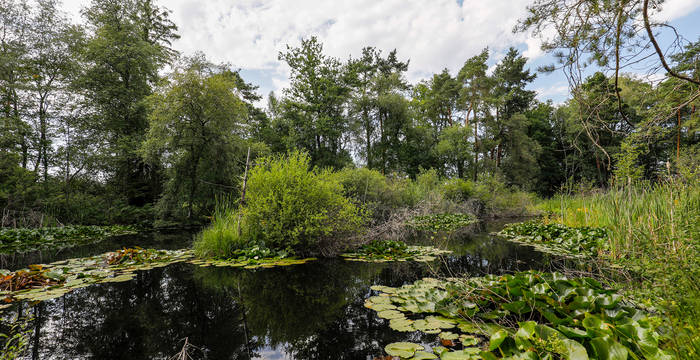 Weier im Pro Natura Schutzgebiet Düdinger Moos © Matthias Sorg