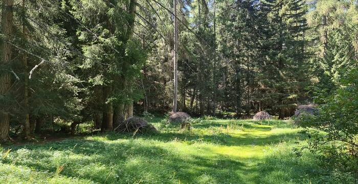 Natur und Kultur