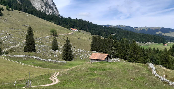 Ferienarbeitswoche, Gspaa, Alpthal, Schwyz (c) Stiftung Umwelteinsatz