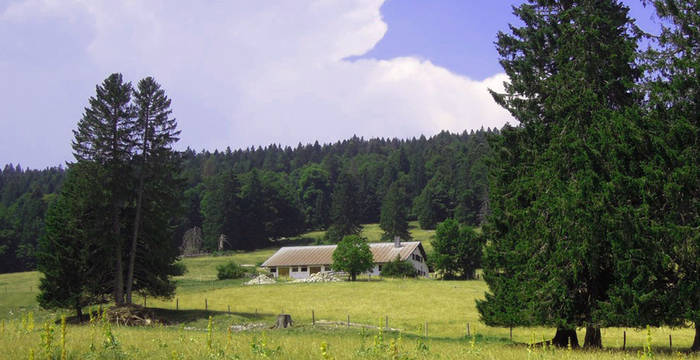 Ferienarbeitswoche in La Cruchaude, im Waadtländer Jura. © Stiftung Umwelteinsatz