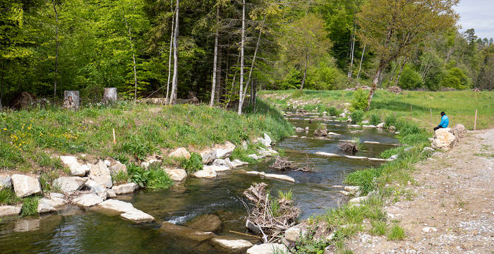 Pro Natura Projekt Biberaue Ferenbalm BE