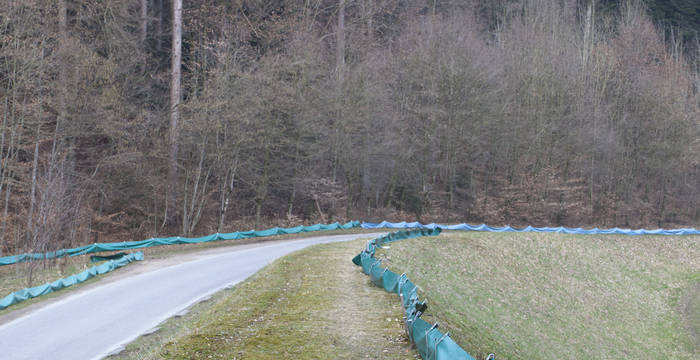 Amphibienzäune bewahren die Amphibien davor über die Strasse zu hüpfen oder zu laufen. © Matthias Sorg