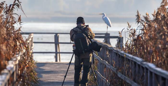 Photographe