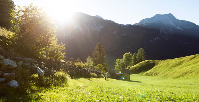 Ferienarbeitswoche Donat, Val Schons/Schams, Graubünden - Trockenmauerwoche. © Stiftung Umwelteinsatz